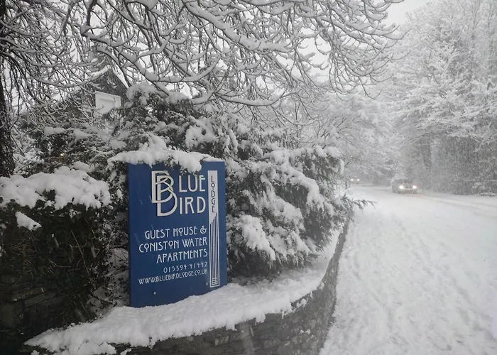 Bluebird Lodge