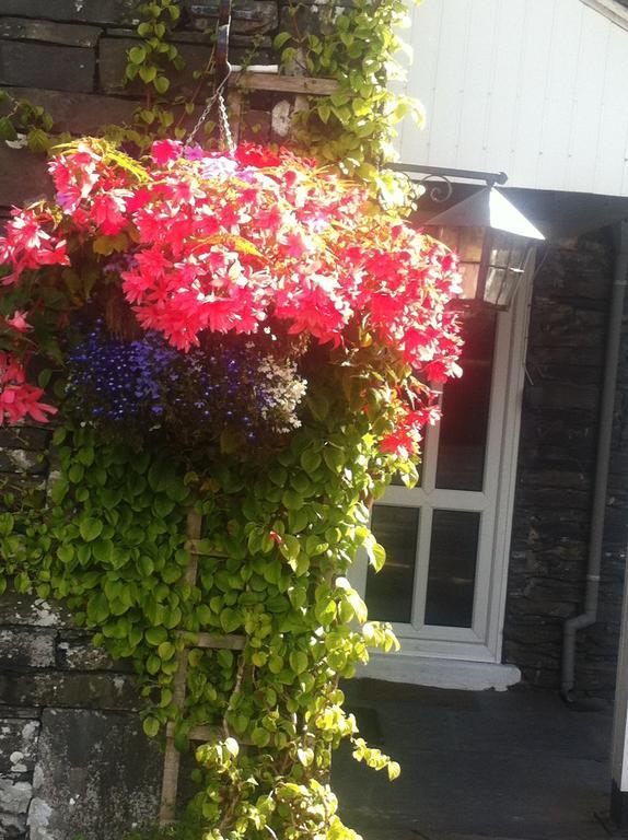 Gasthuis Bluebird Coniston